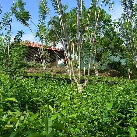Oriole Villas Bentota Kültér fotó