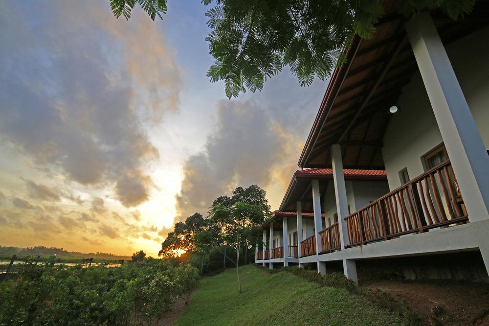 Oriole Villas Bentota Kültér fotó
